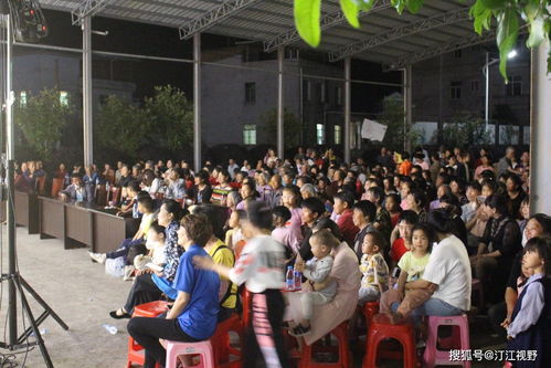 文藝惠民展新風，志愿服務暖人心——福建武平縣新時代文明實踐活動紀實
